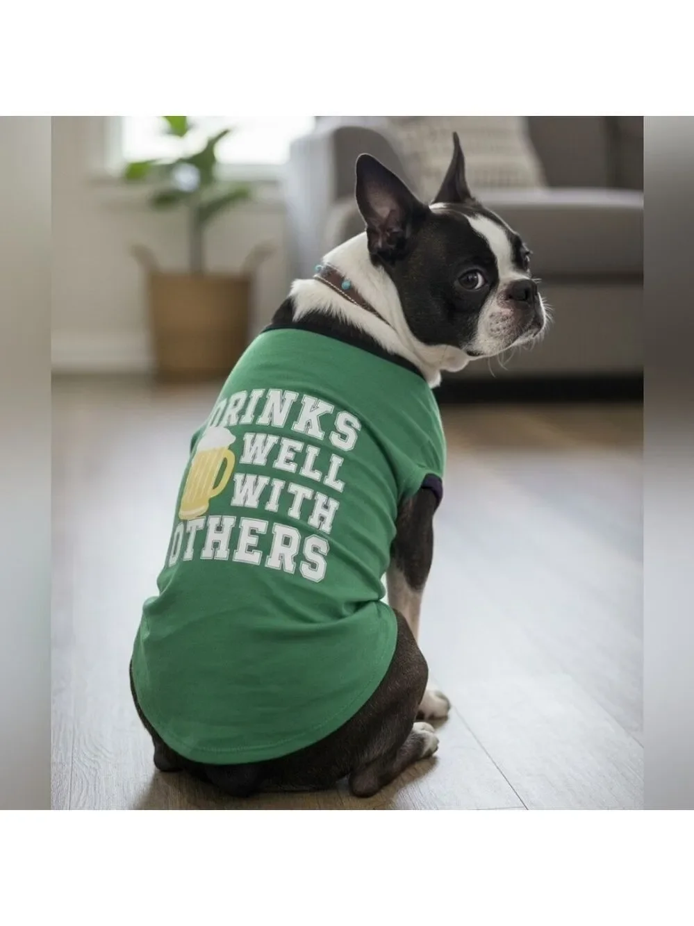 Dog Fun Graphic T Shirt (DGC6)